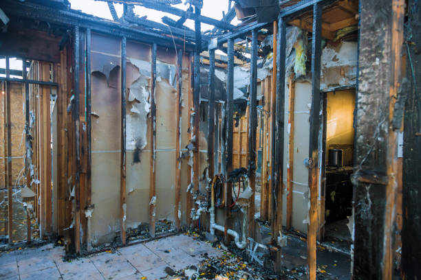 Professional Fire Damage Repair technician working in St. Jacob, IL